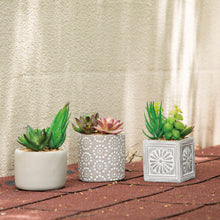 Load image into Gallery viewer, Artificial Succulent Plants in Cement Pots, Set of 3
