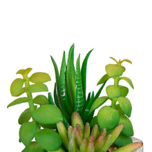 Load image into Gallery viewer, Artificial Succulent Plants in Cement Pots, Set of 3
