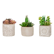 Load image into Gallery viewer, Artificial Succulent Plants in Cement Pots, Set of 3
