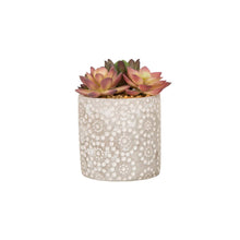 Load image into Gallery viewer, Artificial Succulent Plants in Cement Pots, Set of 3
