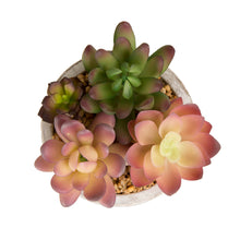 Load image into Gallery viewer, Artificial Succulent Plants in Cement Pots, Set of 3
