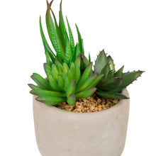 Load image into Gallery viewer, Artificial Succulent Plants in Cement Pots, Set of 3
