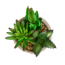 Load image into Gallery viewer, Artificial Succulent Plants in Cement Pots, Set of 3
