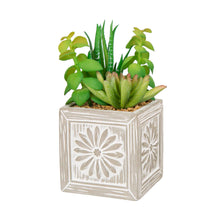 Load image into Gallery viewer, Artificial Succulent Plants in Cement Pots, Set of 3
