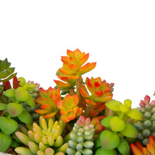 Load image into Gallery viewer, 13.75&quot;H Succulent Plants in Handled Wooden Box
