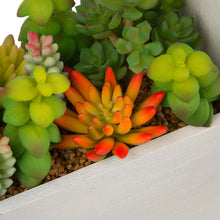 Load image into Gallery viewer, 13.75&quot;H Succulent Plants in Handled Wooden Box
