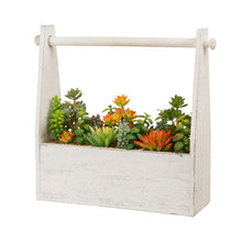 Load image into Gallery viewer, 13.75&quot;H Succulent Plants in Handled Wooden Box
