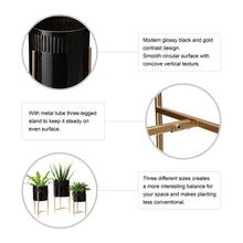 Load image into Gallery viewer, Modern Glossy Black Metal Plant Stands, Set of 3
