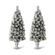 Load image into Gallery viewer, 5ft Pre-Lit Snow Flocked Pine Artificial Christmas Porch Tree with 150 Warm White Lights, Set of 2
