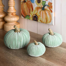 Load image into Gallery viewer, Mint Green Velvet/Resin Pumpkins Decor, Set of 3
