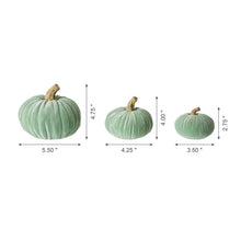 Load image into Gallery viewer, Mint Green Velvet/Resin Pumpkins Decor, Set of 3
