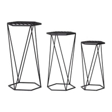 Load image into Gallery viewer, Modern Hexagon Black Metal Plant Stand, Set of 3
