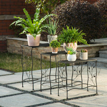 Load image into Gallery viewer, Rectangular Nesting Black Metal Plant Stand, Set of 3
