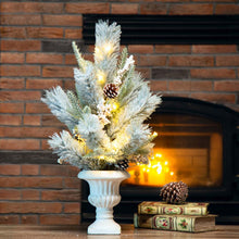 Load image into Gallery viewer, 24&quot;H Lighted Flocked Pinecone and Berries Table Tree
