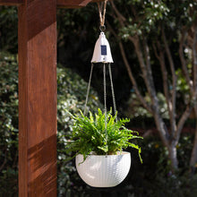 Load image into Gallery viewer, 30&quot;H Solar Lighted White Plastic Hanging Planter
